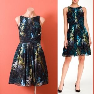 Ted Baker Black Floral Mini Dress